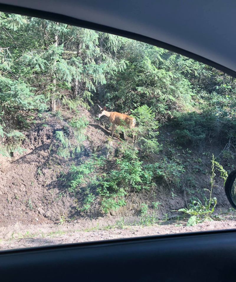 oh look, RIGHT THERE by the side of the road